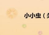 小小虫（关于小小虫介绍）