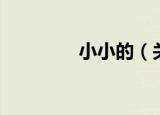 小小的（关于小小的介绍）
