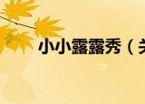 小小露露秀（关于小小露露秀介绍）