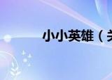 小小英雄（关于小小英雄介绍）