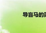 导盲马的简笔画（导盲马）
