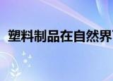 塑料制品在自然界可以停留多少年蚂蚁庄园