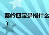 秦岭四宝是指什么金丝猴（秦岭四宝是指什么）