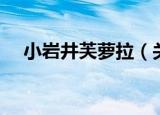小岩井芙萝拉（关于小岩井芙萝拉介绍）