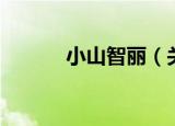 小山智丽（关于小山智丽介绍）
