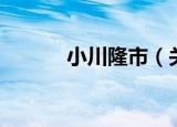 小川隆市（关于小川隆市介绍）