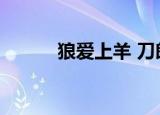狼爱上羊 刀郎（刀郎狼爱上羊）