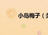 小岛梅子（关于小岛梅子介绍）