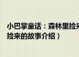 小巴掌童话：森林里捡来的故事（关于小巴掌童话：森林里捡来的故事介绍）