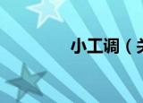 小工调（关于小工调介绍）