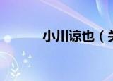小川谅也（关于小川谅也介绍）