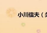 小川信夫（关于小川信夫介绍）