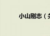 小山刚志（关于小山刚志介绍）