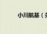 小川航基（关于小川航基介绍）
