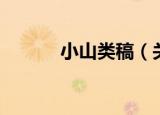 小山类稿（关于小山类稿介绍）