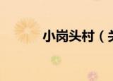 小岗头村（关于小岗头村介绍）