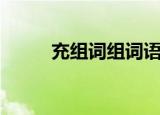 充组词组词语有哪些（充组词组）
