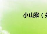 小山猴（关于小山猴介绍）