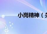 小岗精神（关于小岗精神介绍）