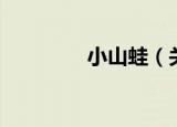 小山蛙（关于小山蛙介绍）
