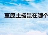 草原土拨鼠在哪个地图出现（草原土拨鼠）