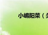 小嶋阳菜（关于小嶋阳菜介绍）