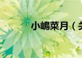 小嶋菜月（关于小嶋菜月介绍）