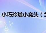 小巧玲珑小窝头（关于小巧玲珑小窝头介绍）
