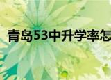 青岛53中升学率怎么样（青岛53中升学率）