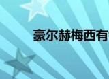 豪尔赫梅西有钱吗（豪尔赫 梅西）