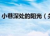 小巷深处的阳光（关于小巷深处的阳光介绍）