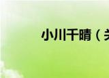 小川千晴（关于小川千晴介绍）
