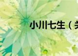 小川七生（关于小川七生介绍）