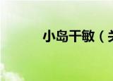 小岛干敏（关于小岛干敏介绍）