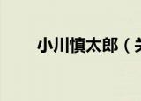 小川慎太郎（关于小川慎太郎介绍）