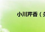 小川芹香（关于小川芹香介绍）