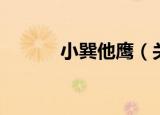 小巽他鹰（关于小巽他鹰介绍）