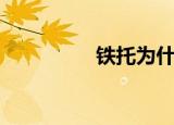 铁托为什么（铁托主义）