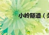 小岭隧道（关于小岭隧道介绍）