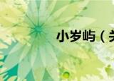 小岁屿（关于小岁屿介绍）