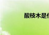 酸枝木是什么木（酸枝木）