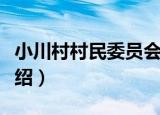 小川村村民委员会（关于小川村村民委员会介绍）