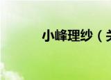 小峰理纱（关于小峰理纱介绍）
