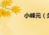 小峰元（关于小峰元介绍）