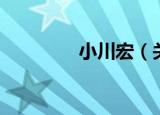 小川宏（关于小川宏介绍）