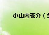 小山内苍介（关于小山内苍介介绍）