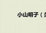 小山明子（关于小山明子介绍）