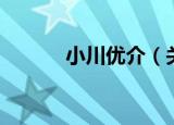 小川优介（关于小川优介介绍）