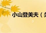 小山登美夫（关于小山登美夫介绍）