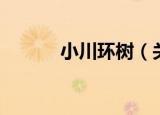 小川环树（关于小川环树介绍）
